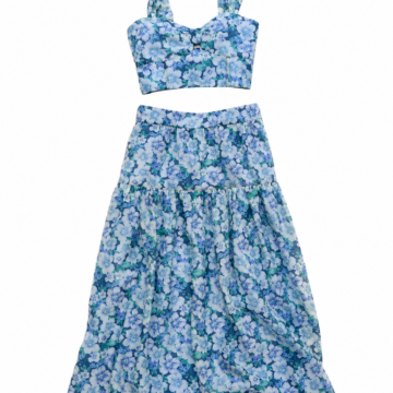 Blue Floral Print Crop Top and Tiered Maxi Skirt Set
