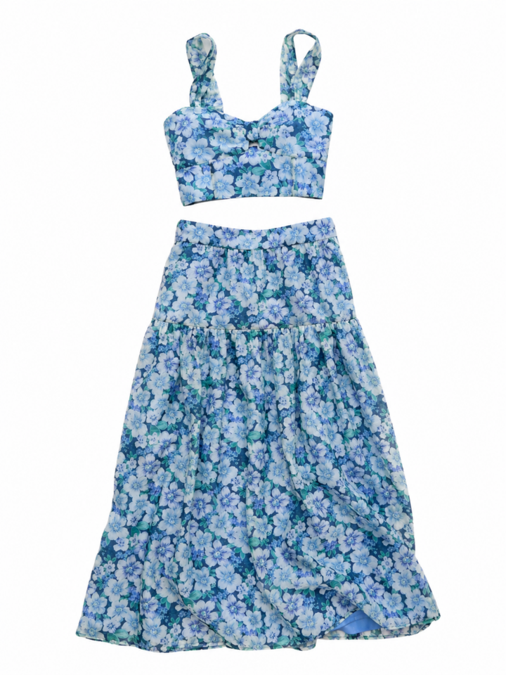 Blue Floral Print Crop Top and Tiered Maxi Skirt Set
