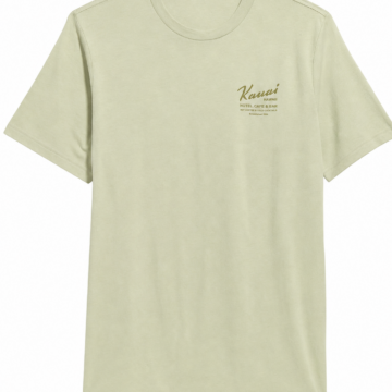 Pale Sage Green Solid Crew Neck T-Shirt
