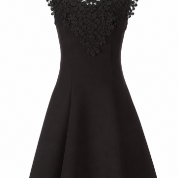 Black Sleeveless Fitted A-line Dress with Scalloped Hem and Floral Lace Appliqué